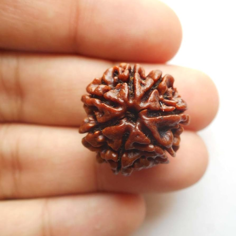 Benefits of Wearing Rudraksha